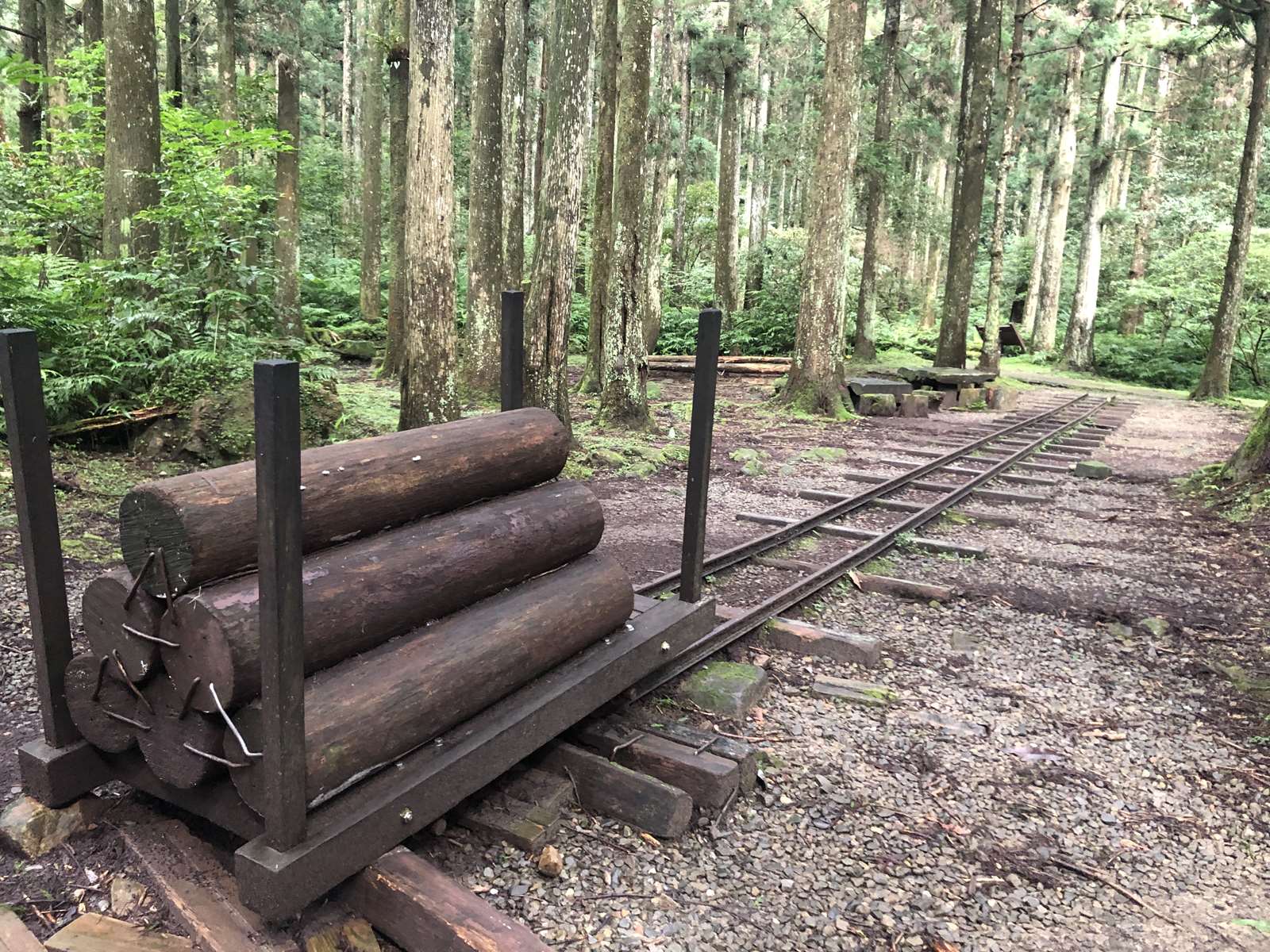 森林知性步道 照片提供 林業署新竹分署