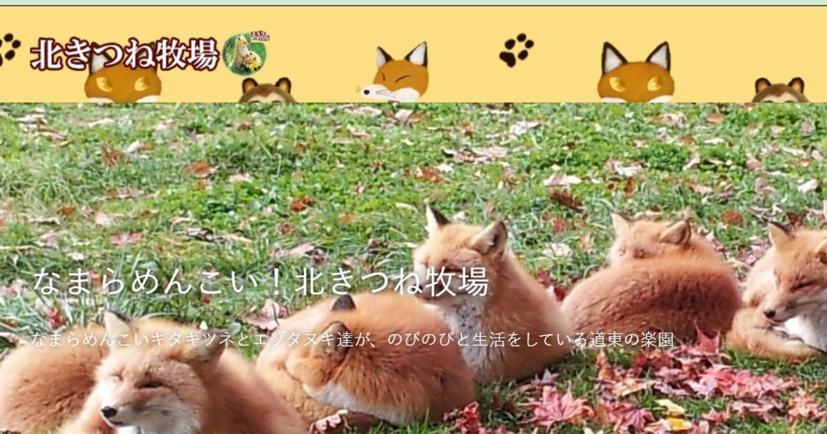 【北海道親子遊必去景點TOP9】讓孩子玩瘋的樂園、農場、博物館大補帖 - 第5張圖